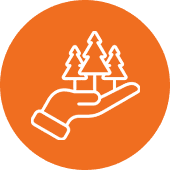 Hand holding trees icon on orange background.