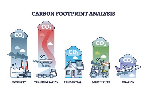 Carbon footprint analysis of various sectors.